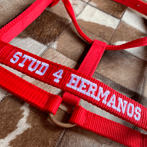 Cabresto de Nylon Personalizado apenas c/ Bordado - Imagem 2
